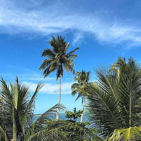 Suites Ventos E Velas Praia Pôrto de Pedras المظهر الخارجي الصورة