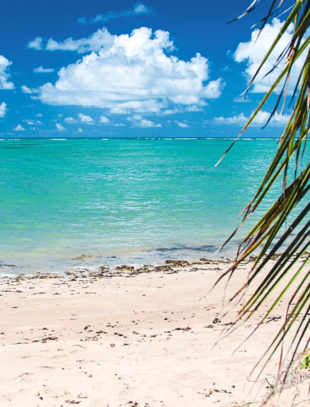 Suites Ventos E Velas Praia Pôrto de Pedras المظهر الخارجي الصورة
